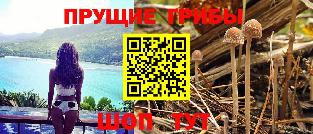 Протвино  Галлюциногенные грибы мухоморы  Вход с VPN 