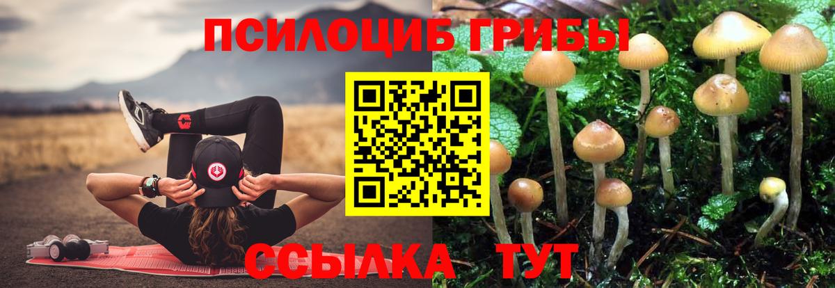 Галлюциногенные грибы Magic Shrooms Протвино